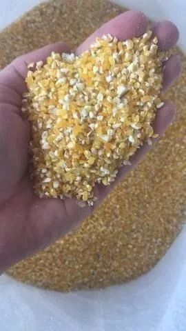 Venda de Milho em Grãos,Soja em Grãos e Farelo de Soja Direto do produtor sem atravessador - Foto 3