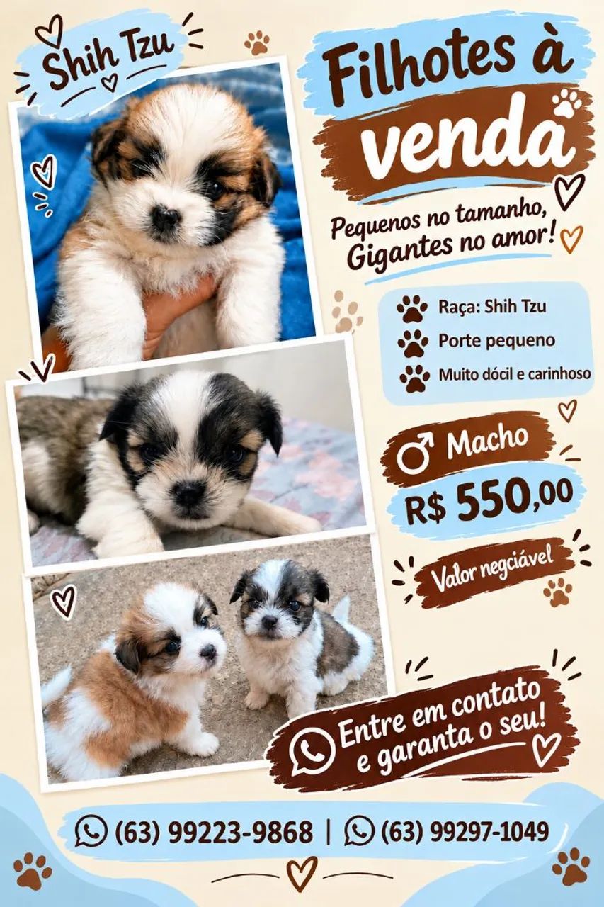 Vendo Shitzu
