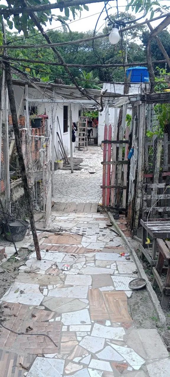 Vende um sítio  - Foto 4