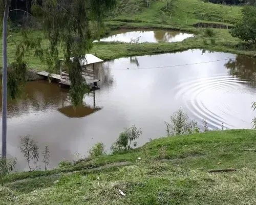 Área Rural 5 alqueires - Congonhinhas - PR - Foto 2