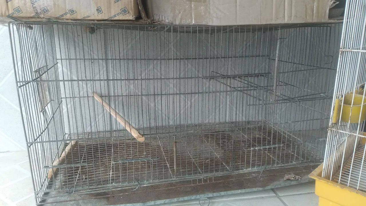 Gaiolas - Foto 2