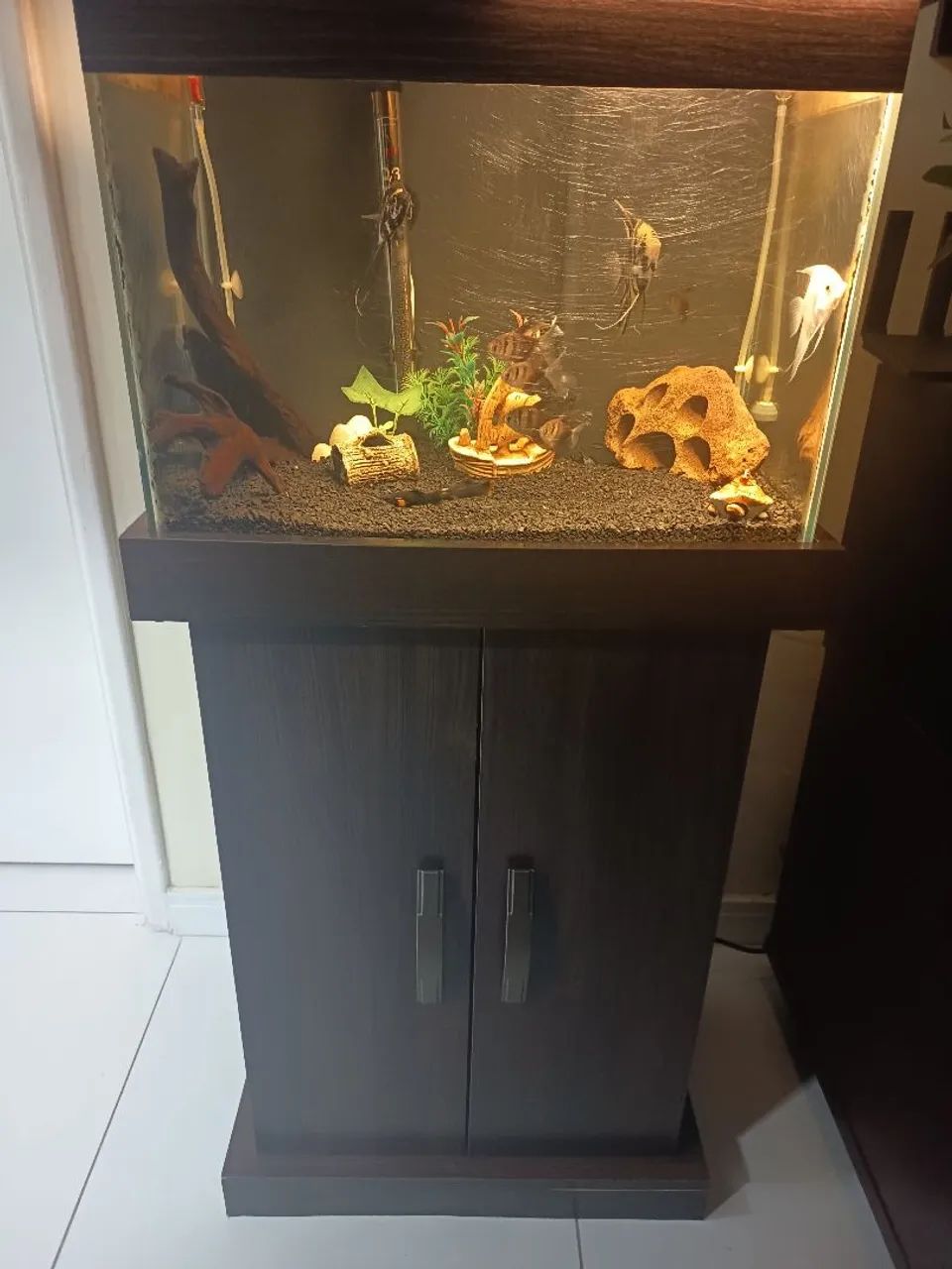 Aquário com móvel  60 litros R$600 - Foto 3