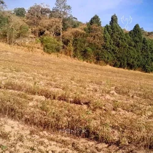 70  Descubra o Terreno Perfeito Para Sua Casa de Campo! - Foto 5