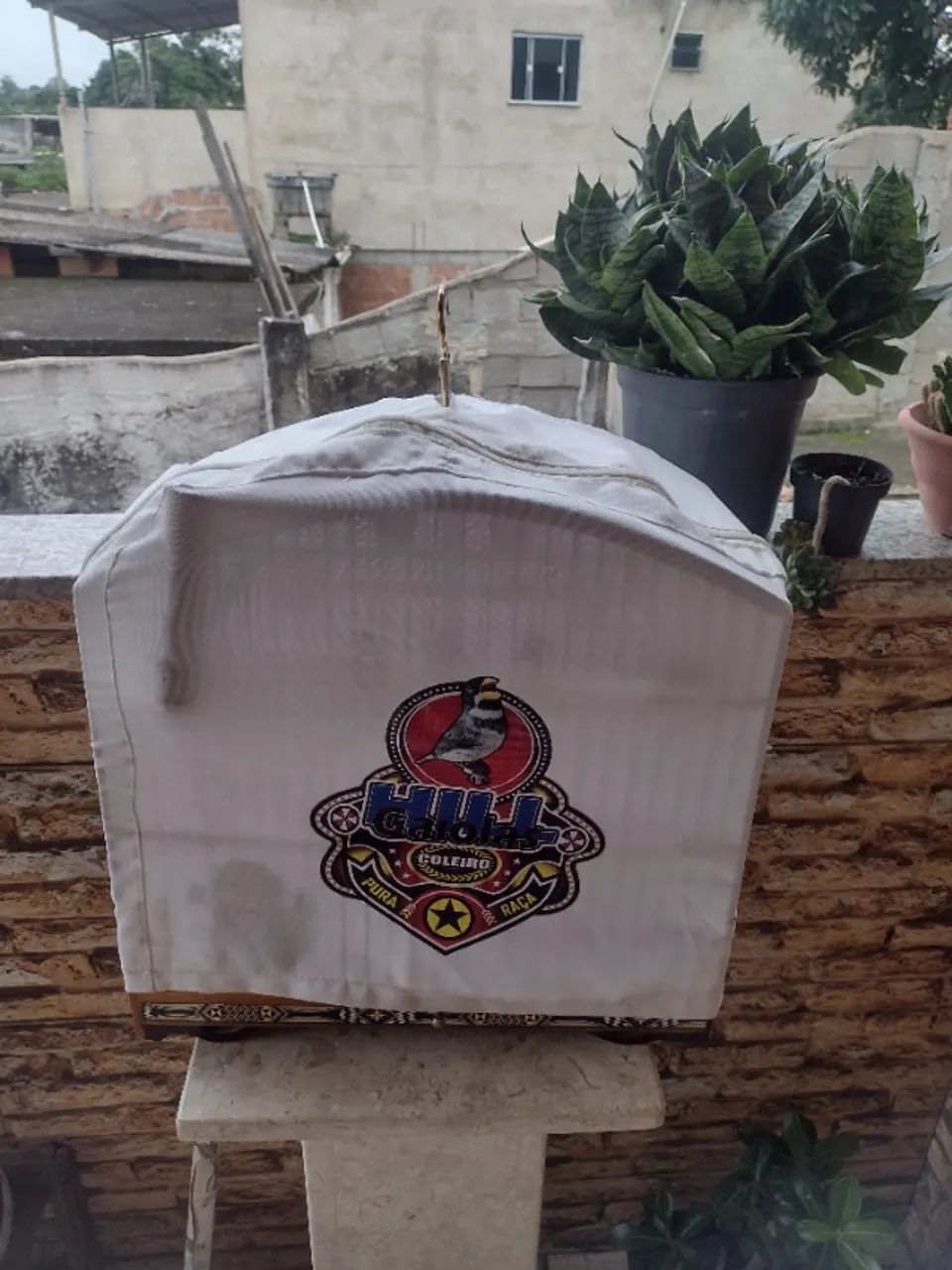 Gaiola de torneio  - Foto 2