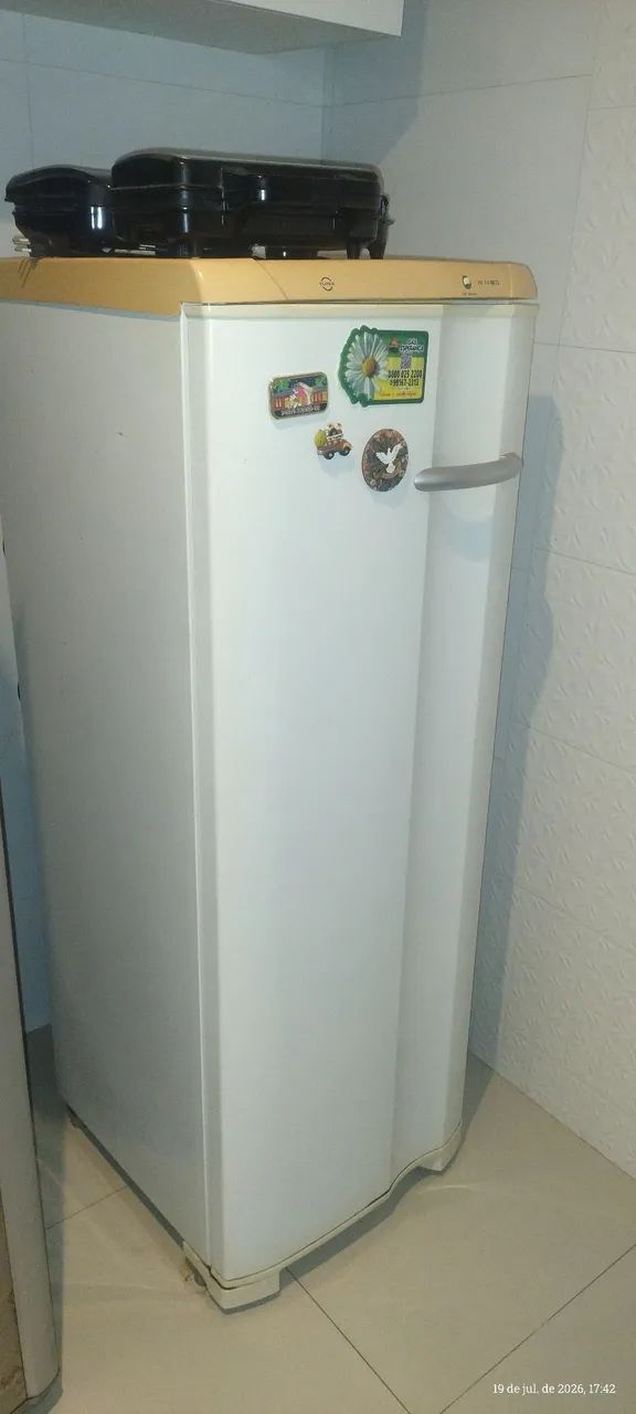 Frizer vertical 