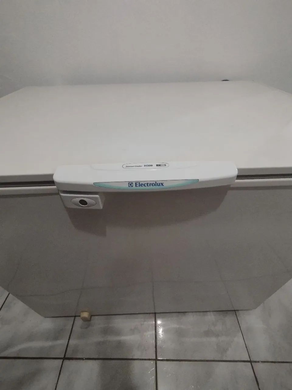 Freezer Electrolux H300