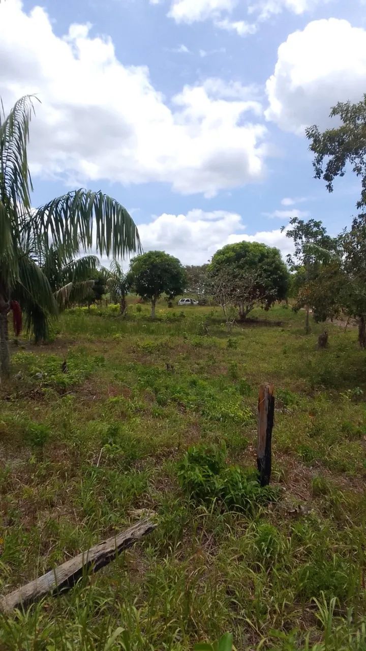 TERRENO DE CHÁCARA 2.000 M2 - S/ BENFEITORIAS