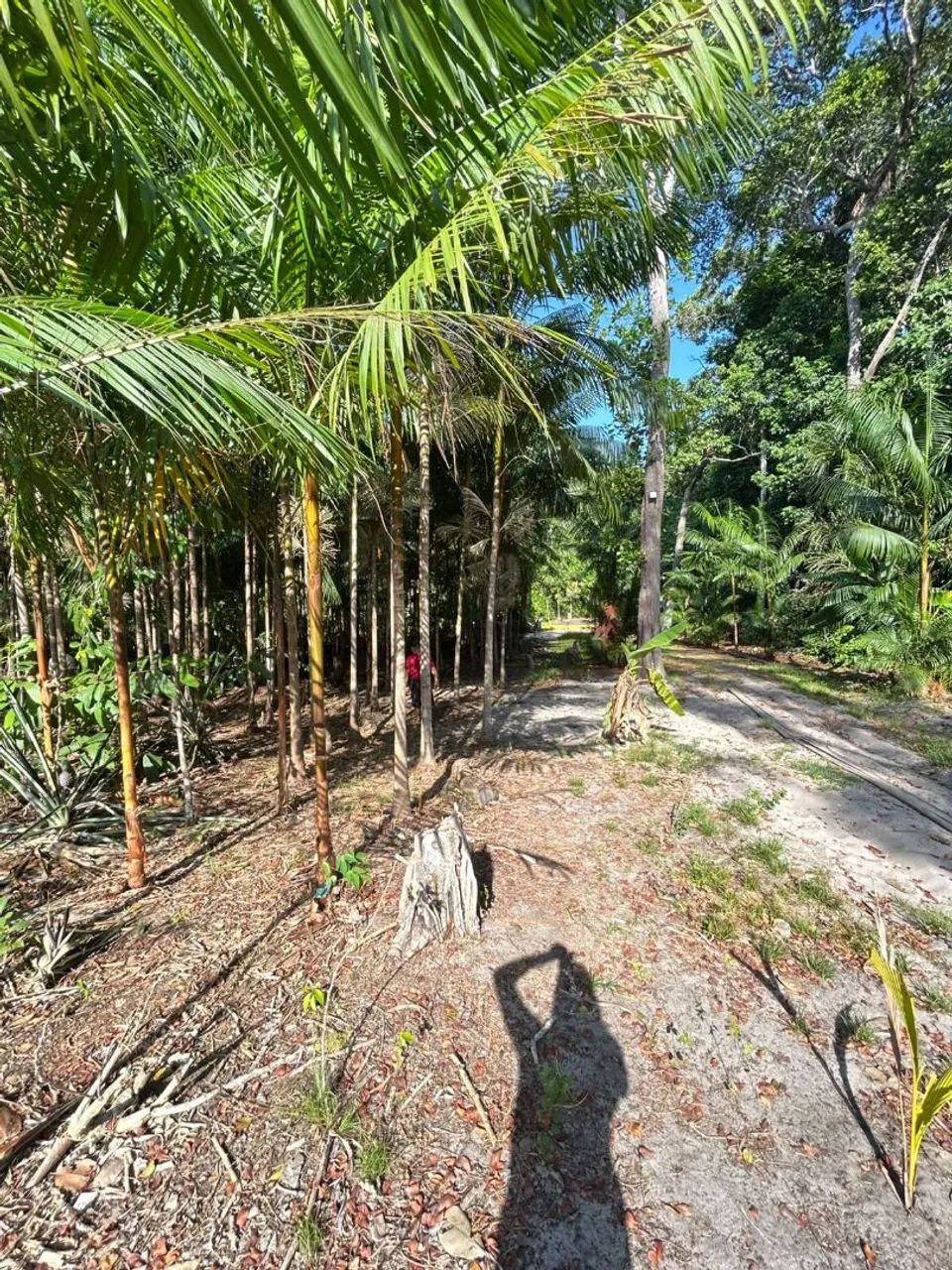 Sitio na Ponta de Pedra  - Foto 4