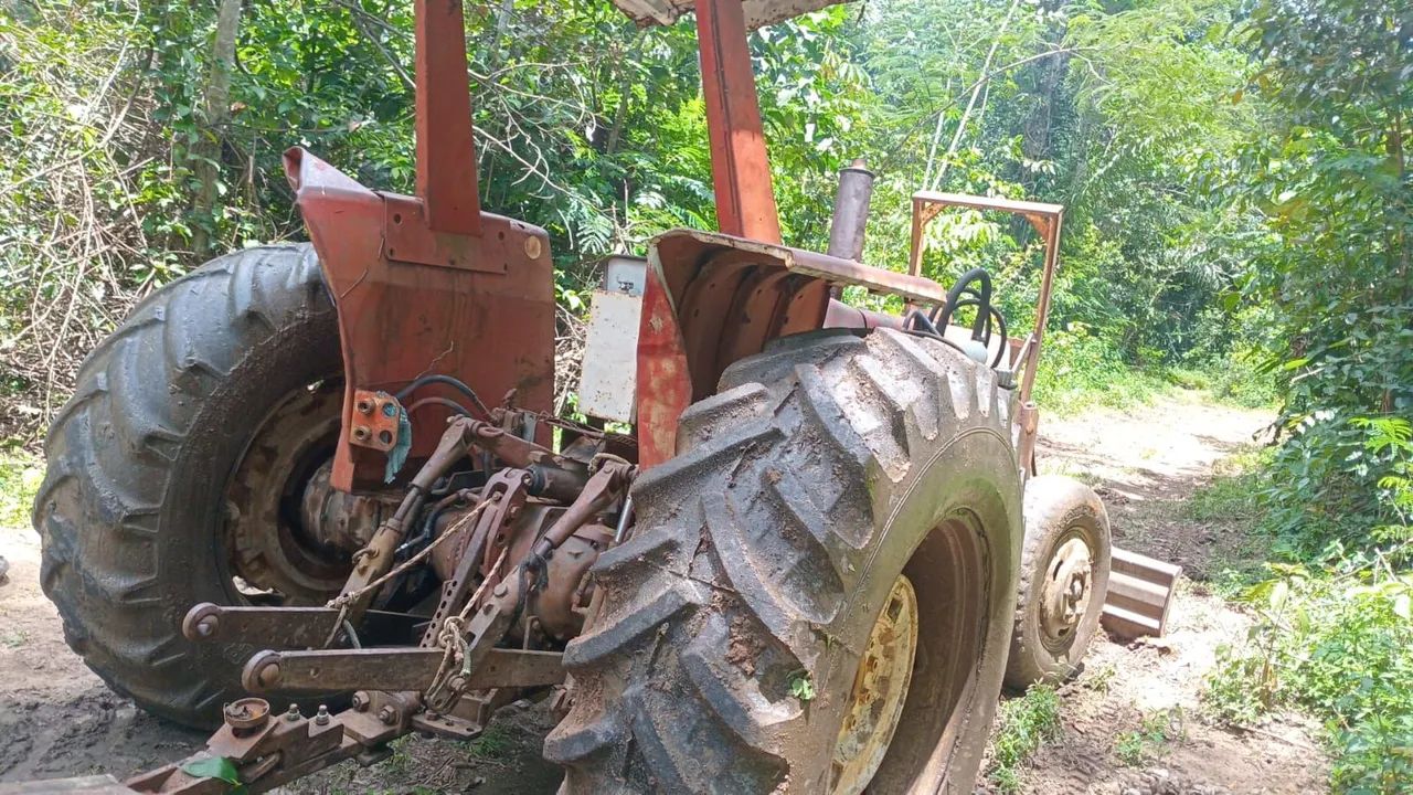 MASSEY FERGUSON 295 - Foto 4