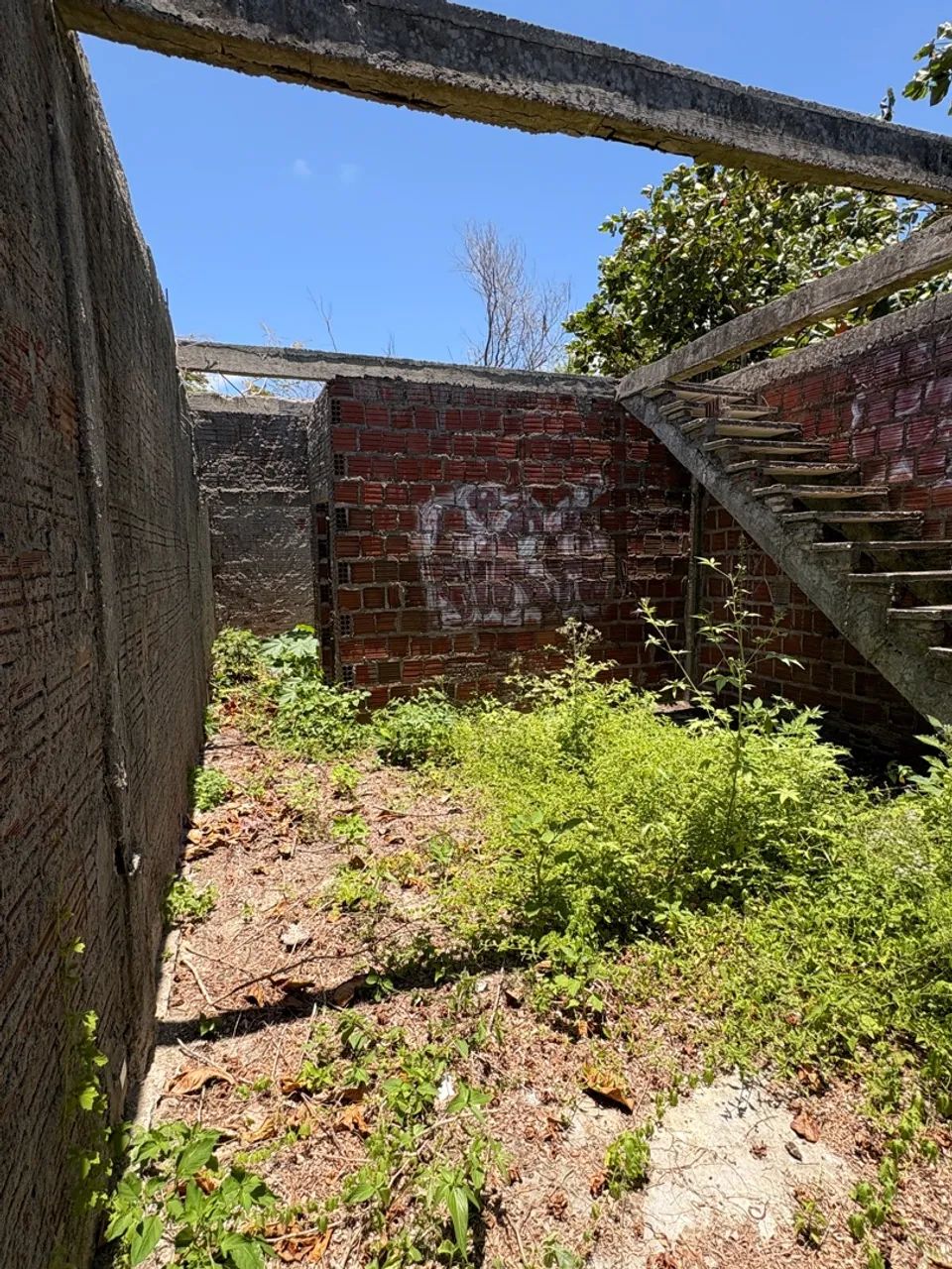 Terreno com escritura pública  - Foto 5