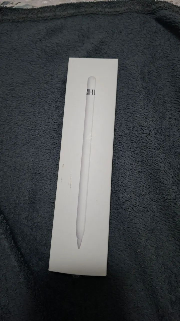 Apple Pencil 1ª Geração + 2 Cases e Acessórios - *ABERTO A NEGOCIAÇÃO*