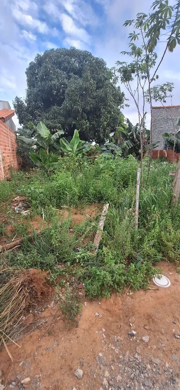 Terreno Bairro do Porto - Foto 3