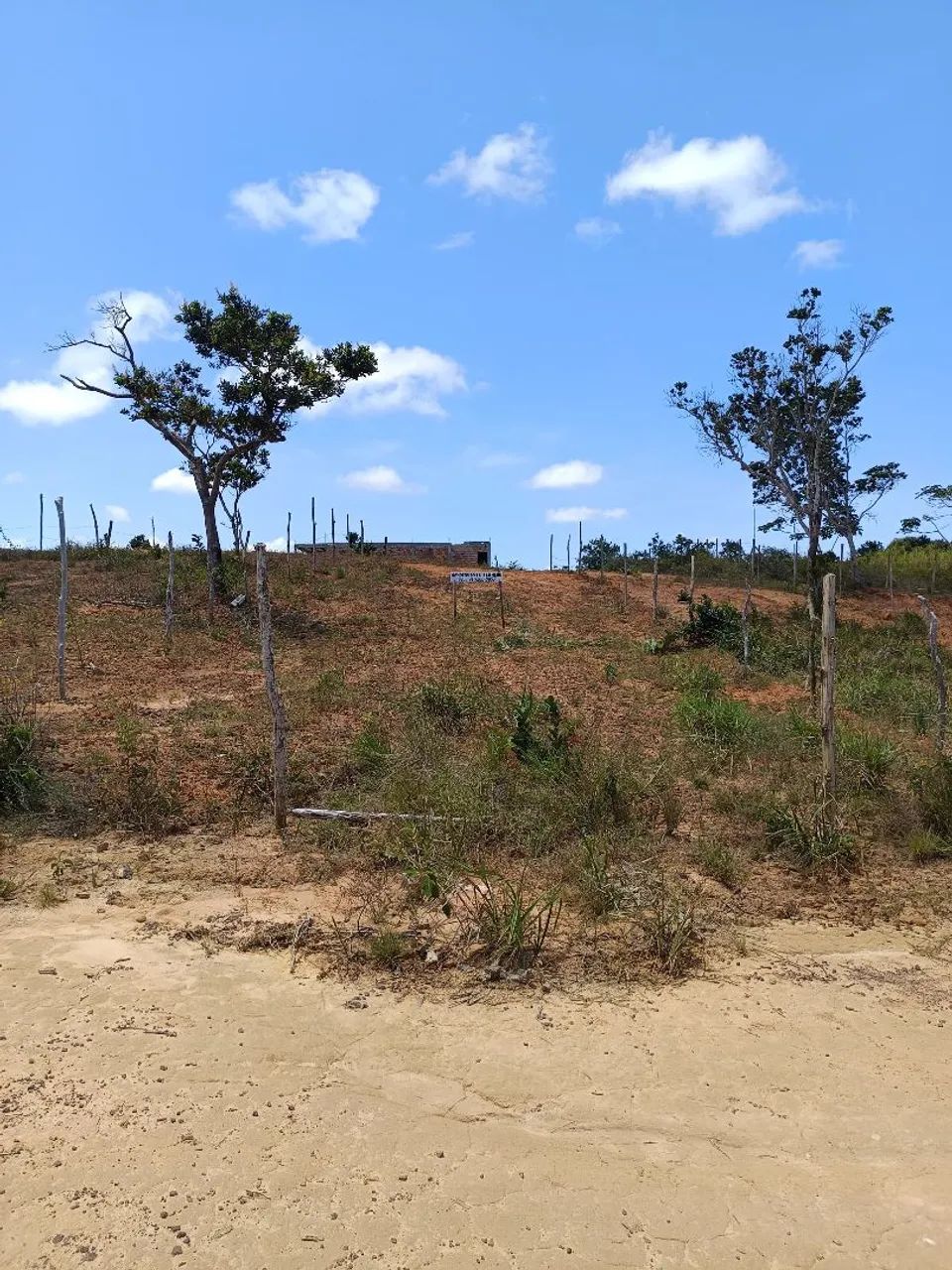 Foto - Salvador - Novo Horizonte