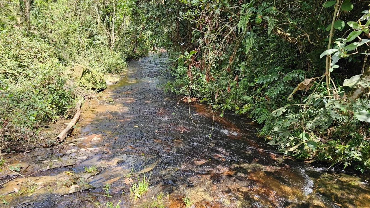 Chácara com cachoeira  - Foto 4