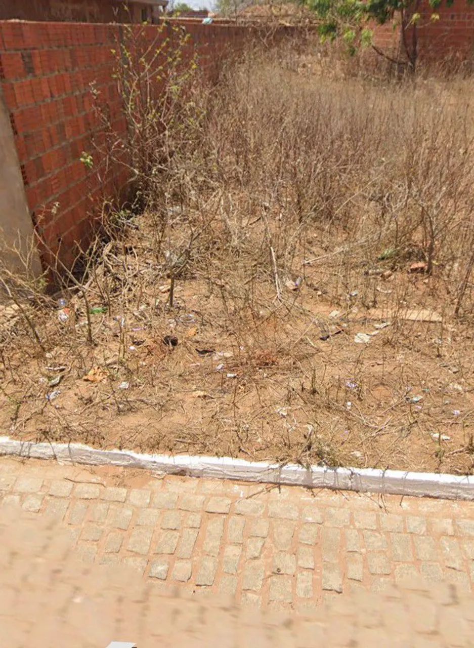 Terreno a venda  - Foto 2
