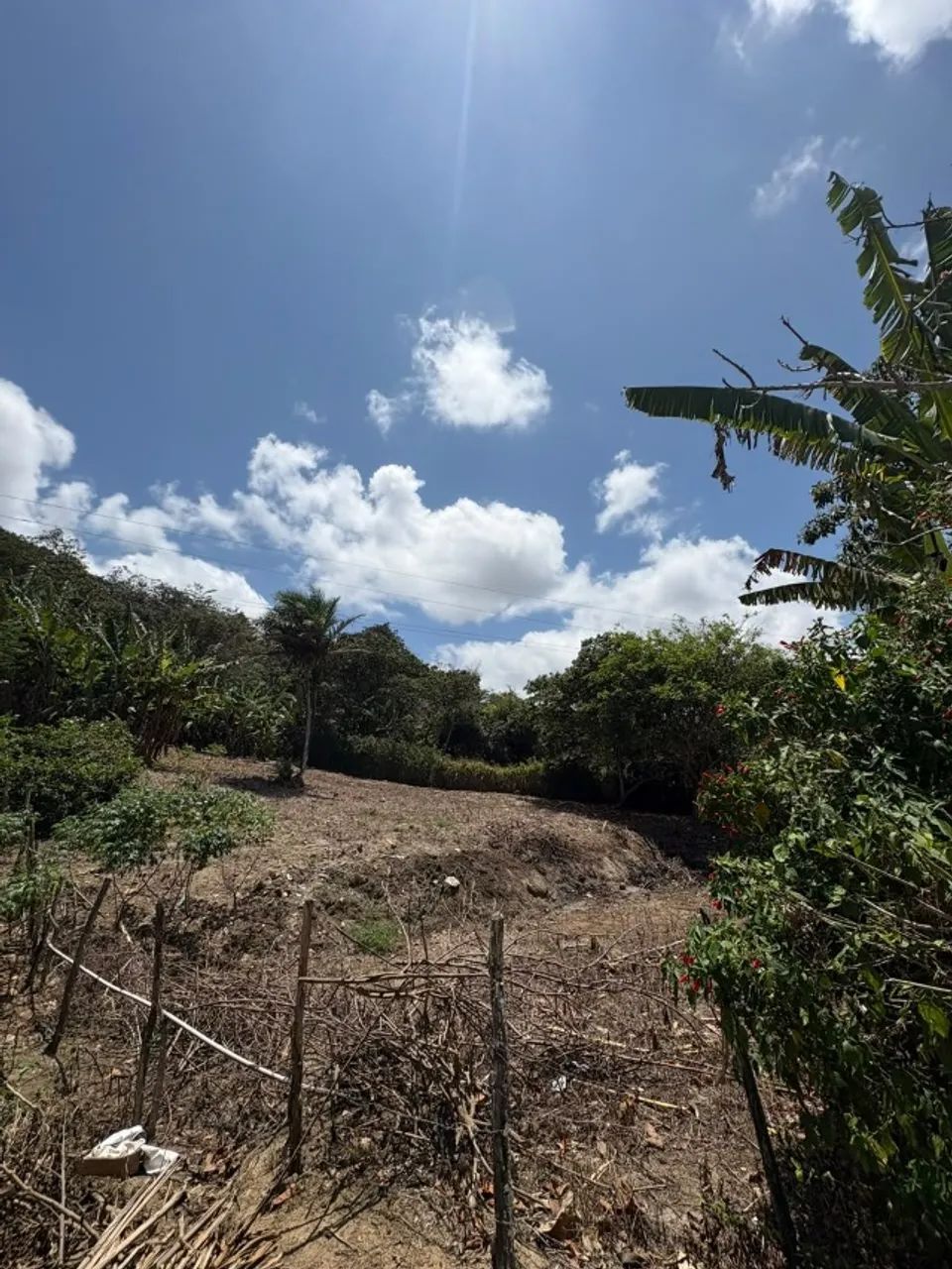 Terreno em Guaramiranga - Foto 4