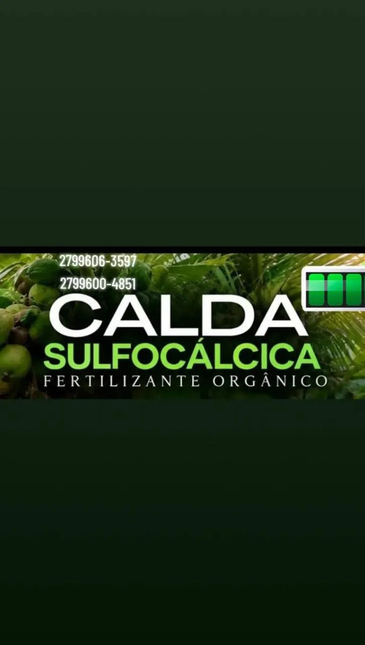 CALDAS SUFOCAUSTICA E ORGÂNICA  - Foto 2