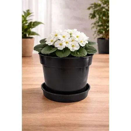 Kit Jardinagem Regador Ferramentas Vaso - Foto 5