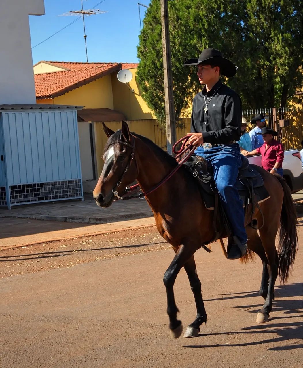 Cavalo  - Foto 3