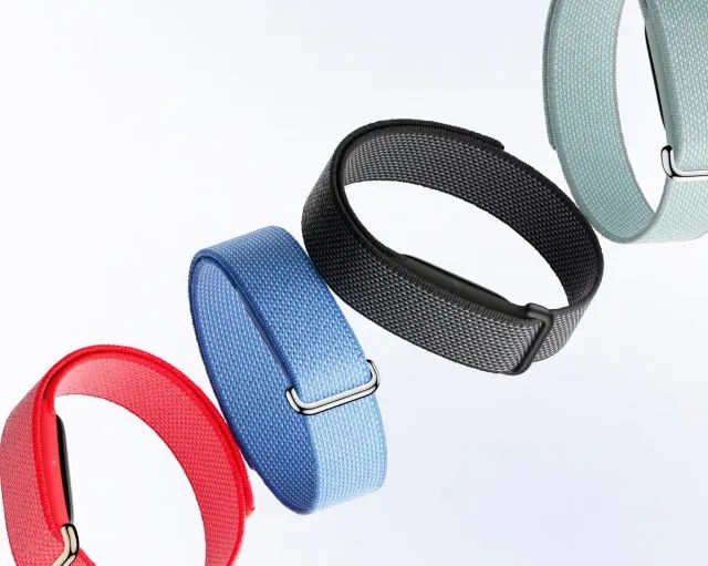 Pulseira Google Fitbit Air - Novo