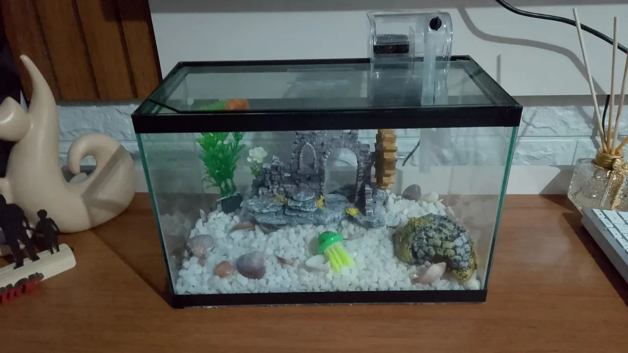 Aquário completo 