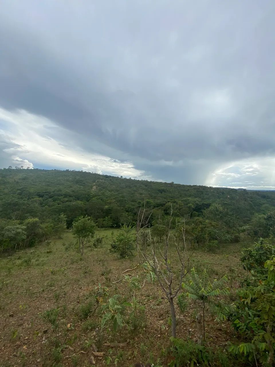 Vendo chácara de 4,5 hectares  - Foto 2