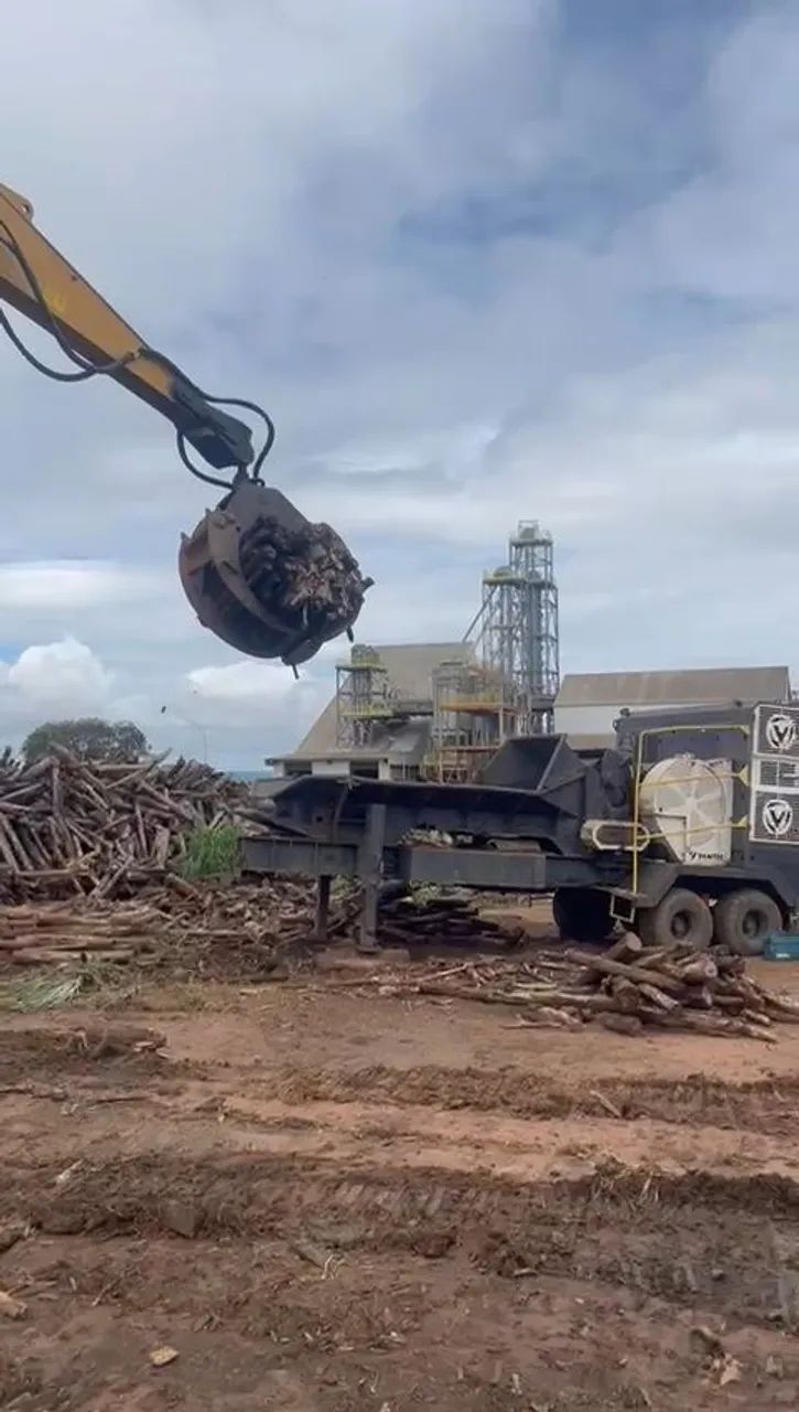 Grua florestal - Foto 4