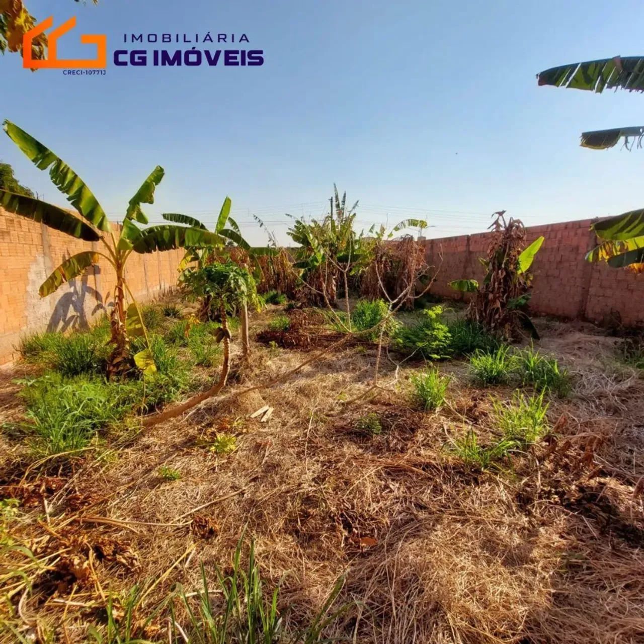 TERRENO TODO MURADO  Nova Lima - Campo Grande - MS - Foto 4