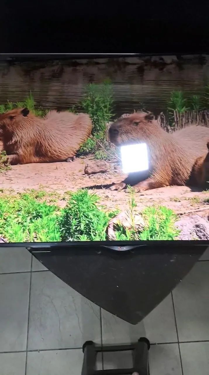 Tv LG 55 polegadas smartv sistema webos 
