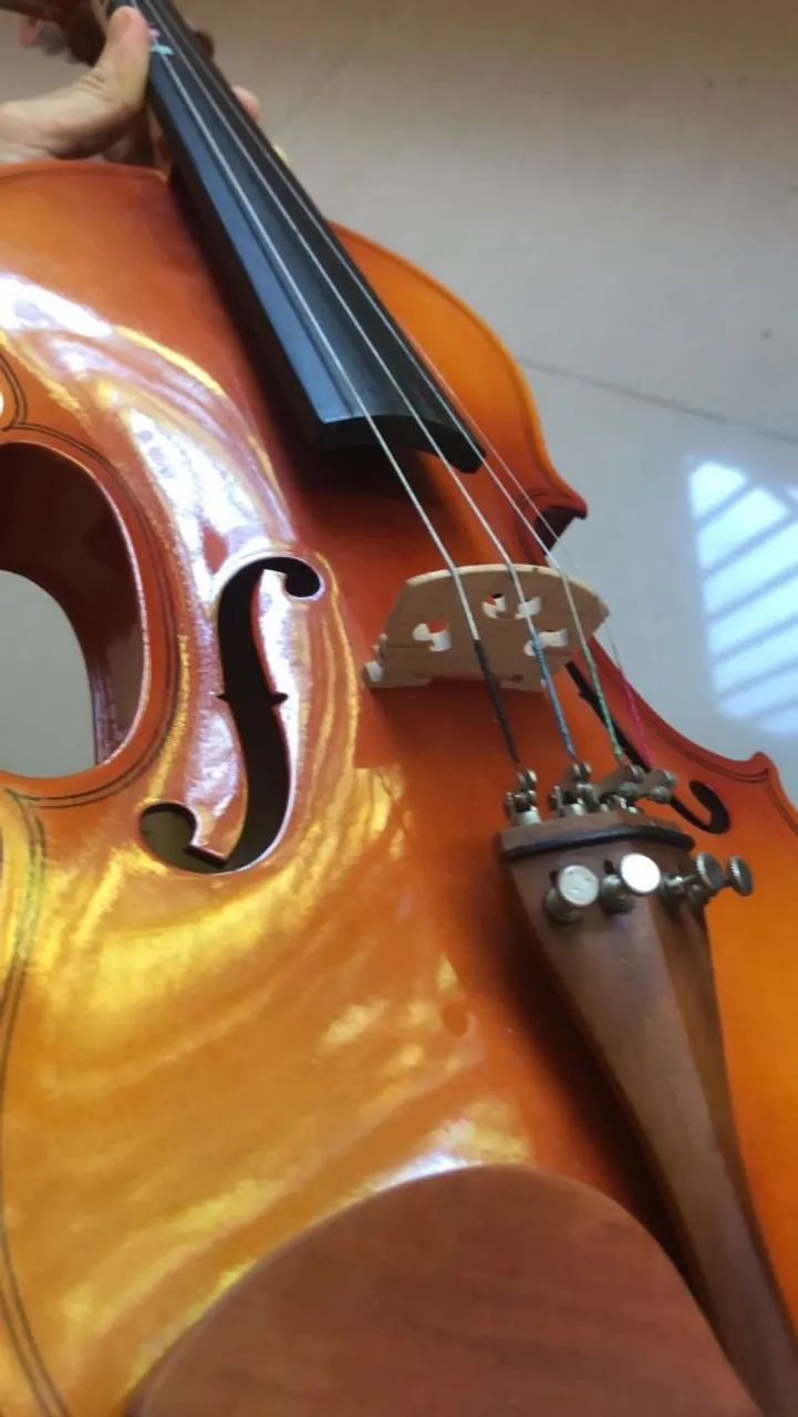 O violino Igor super luxo - Foto 4