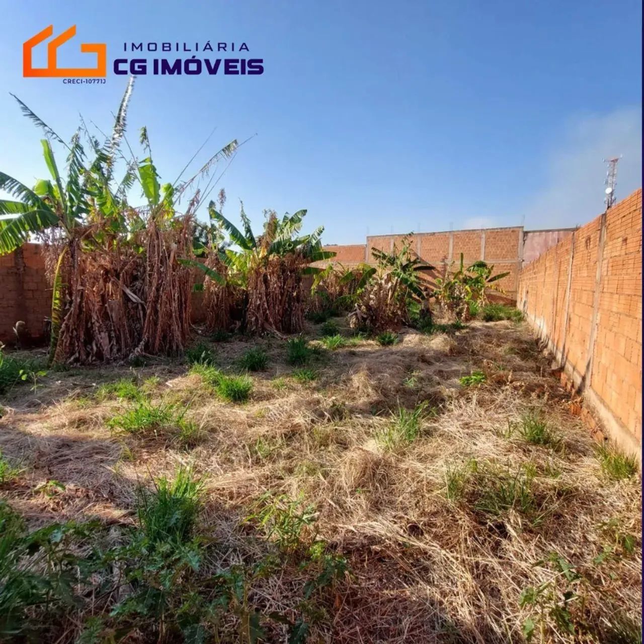 TERRENO TODO MURADO  Nova Lima - Campo Grande - MS - Foto 3