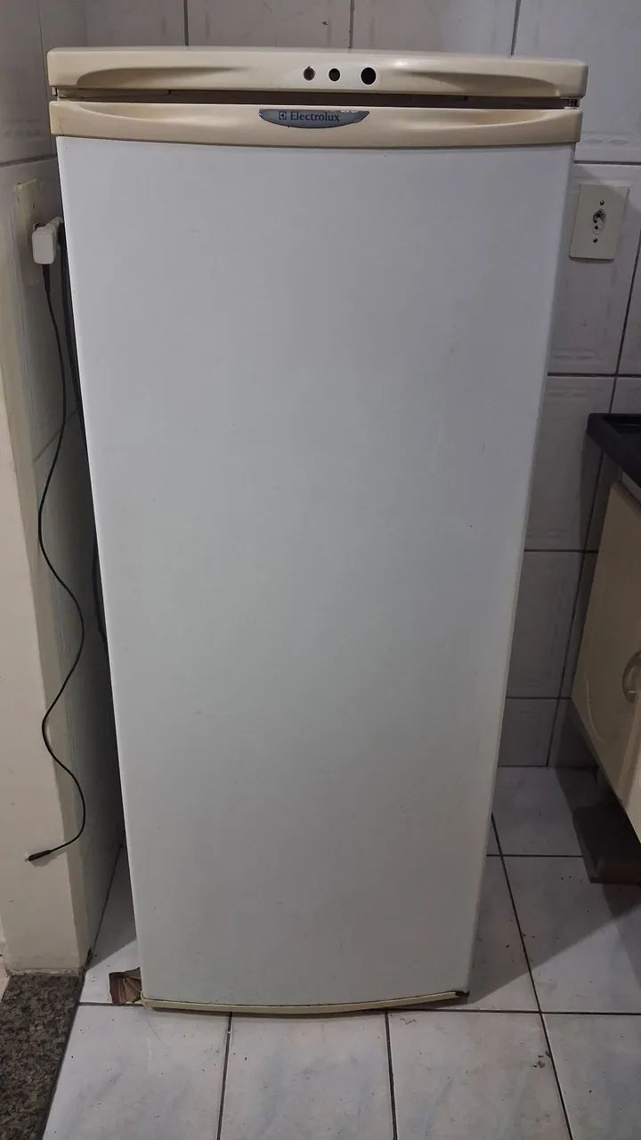 Electrolux R250  - Foto 2