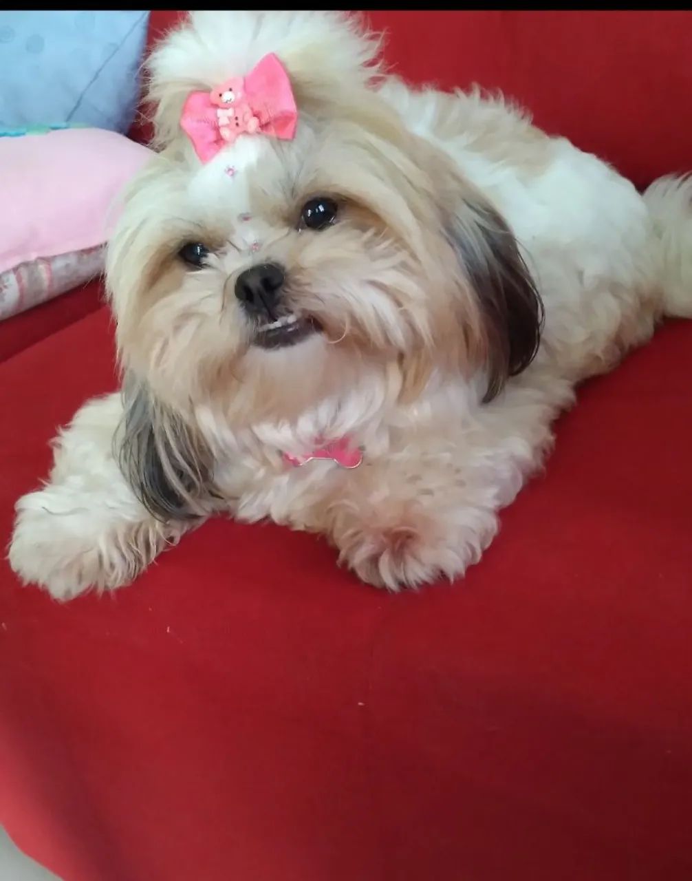 Peti - Foto 2