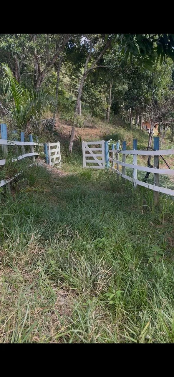 Chácara com casa em Santa Leopoldina  - Foto 5