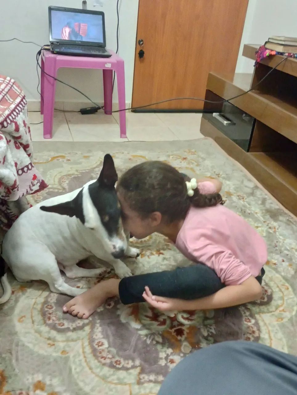 ADOÇÃO RESPONSÁVEL - LILA - Foto 5