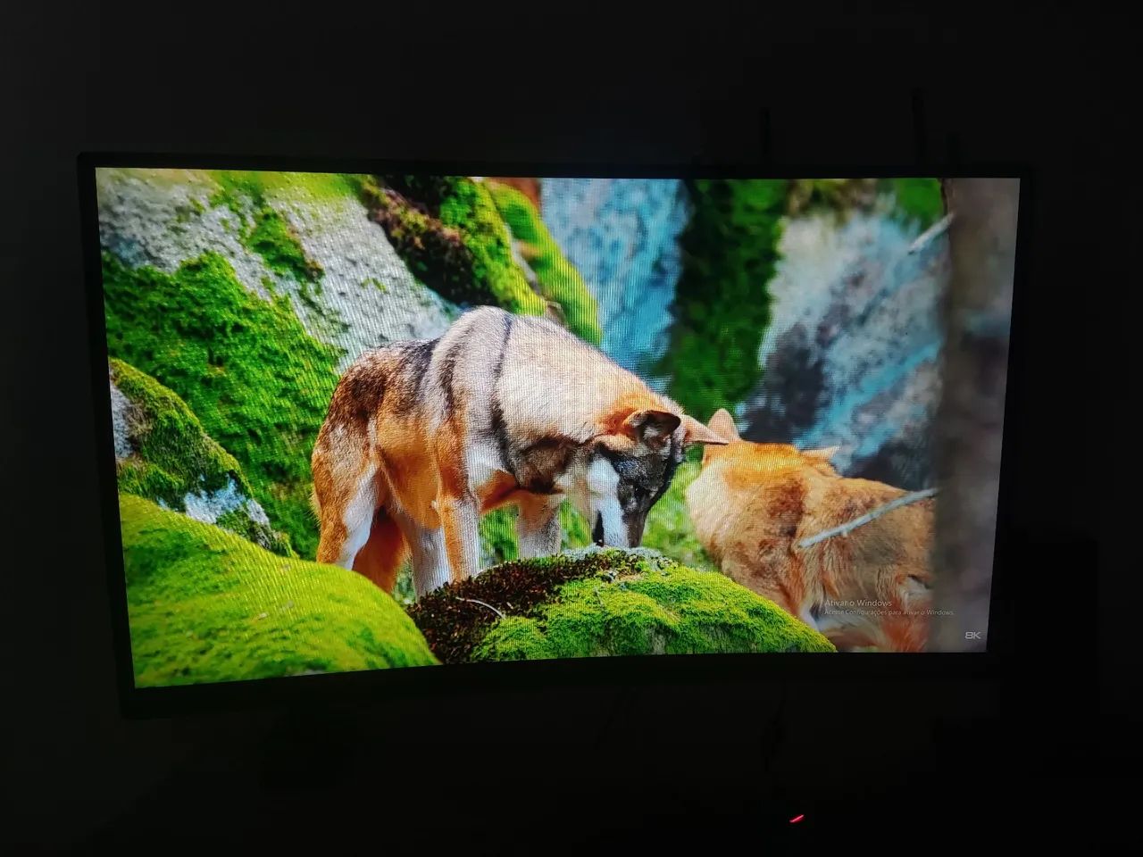 Monitor Gamer 25' - Foto 2