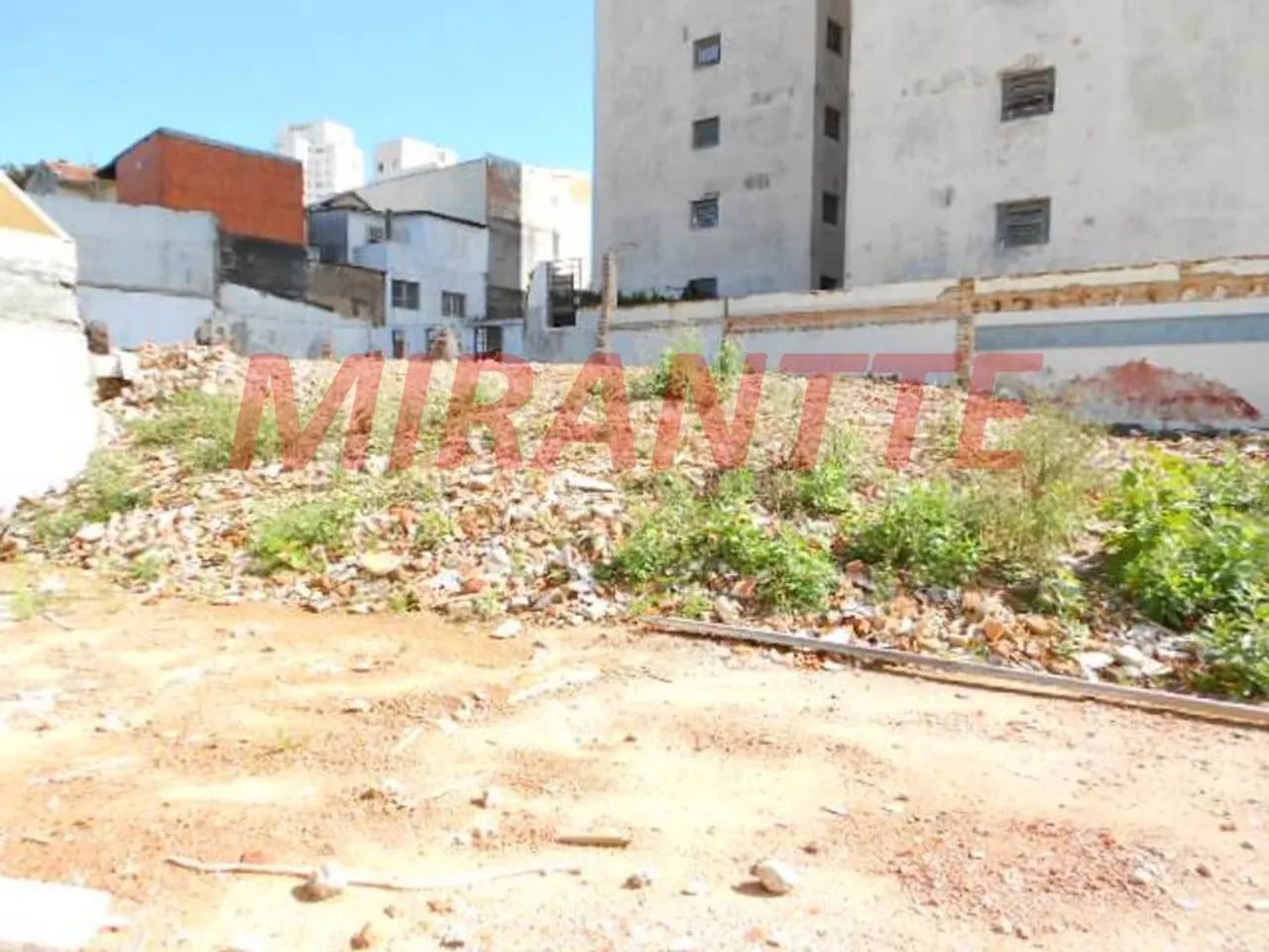 Terreno em Cambuci - Foto 3