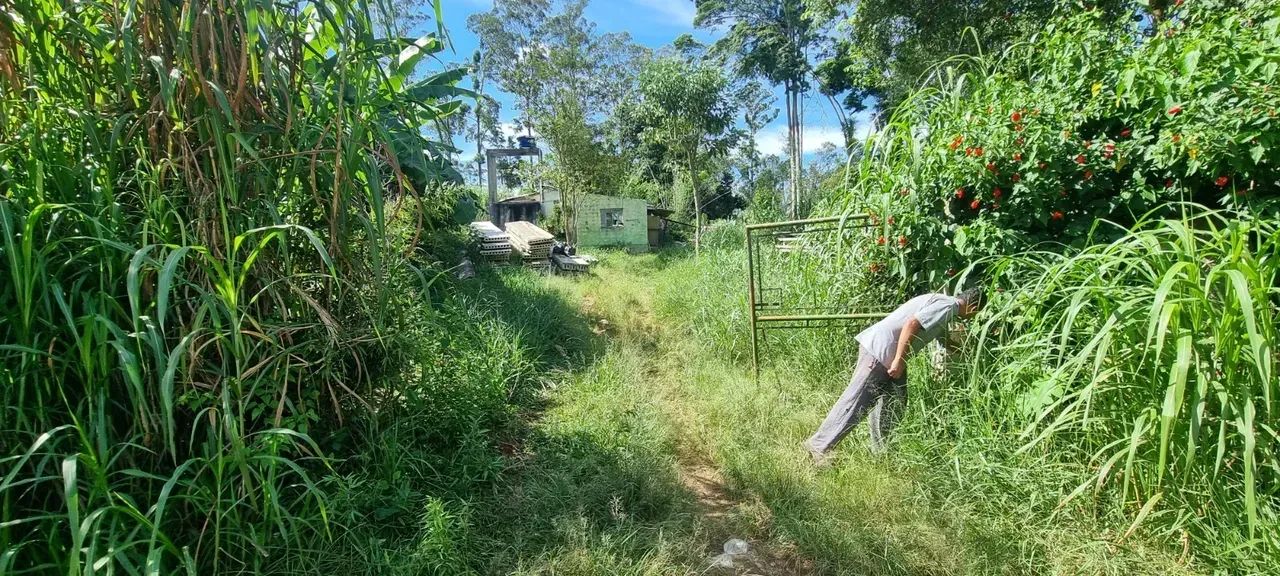 Lote/Terreno para venda possui 43000 metros quadrados em Pavão (Canguera) - São Roque - Sã - Foto 3