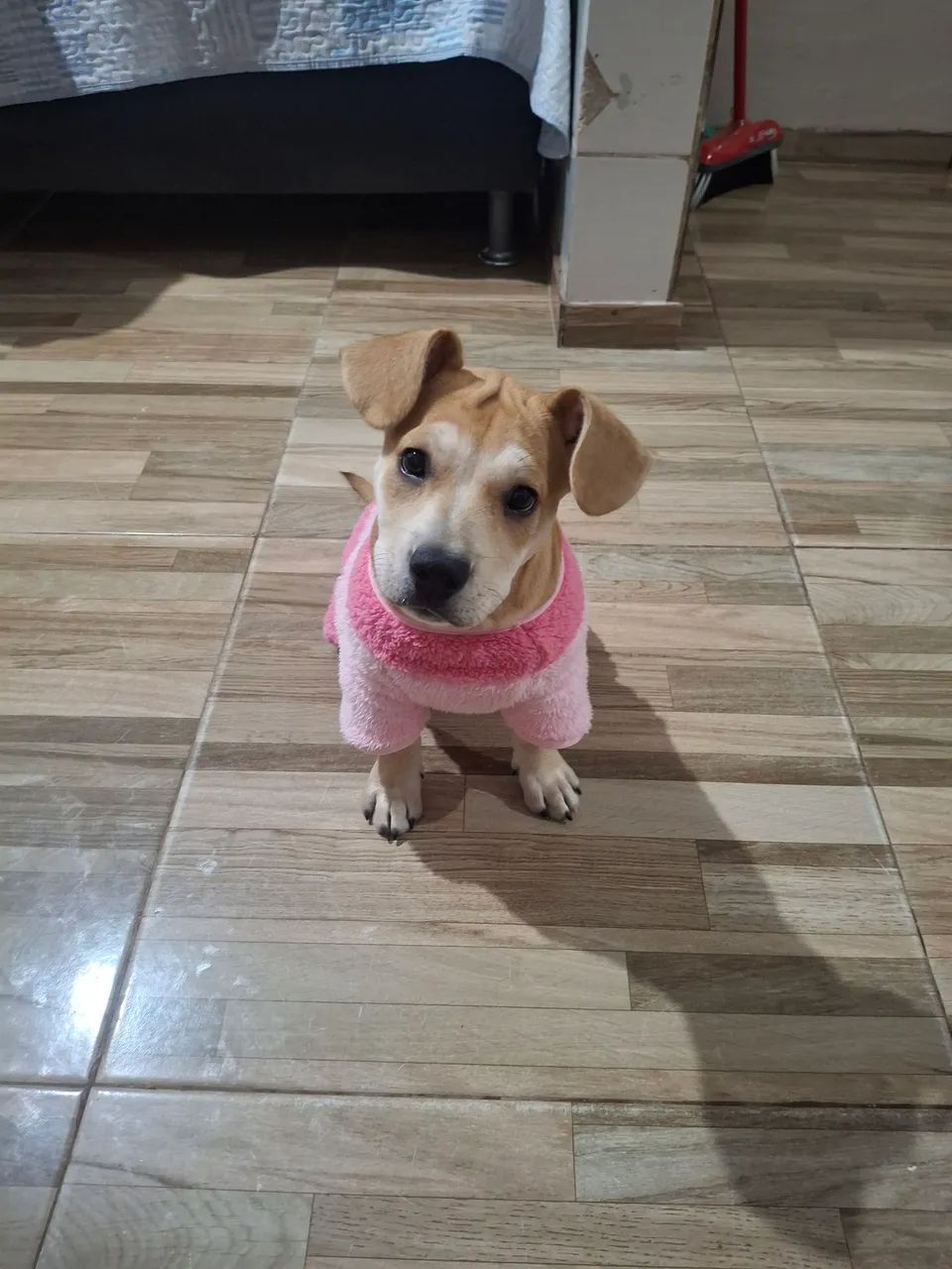 Doação  - Foto 2