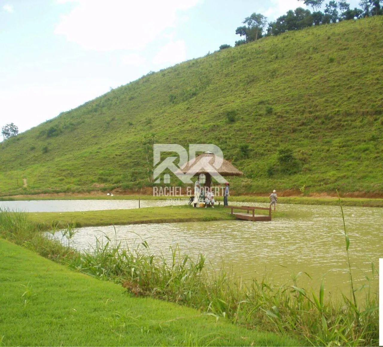 Fazenda totalmente produtiva com 48 hectares - Foto 3