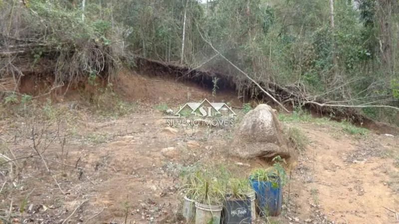 Terreno- Petrópolis, Nogueira - Foto 5