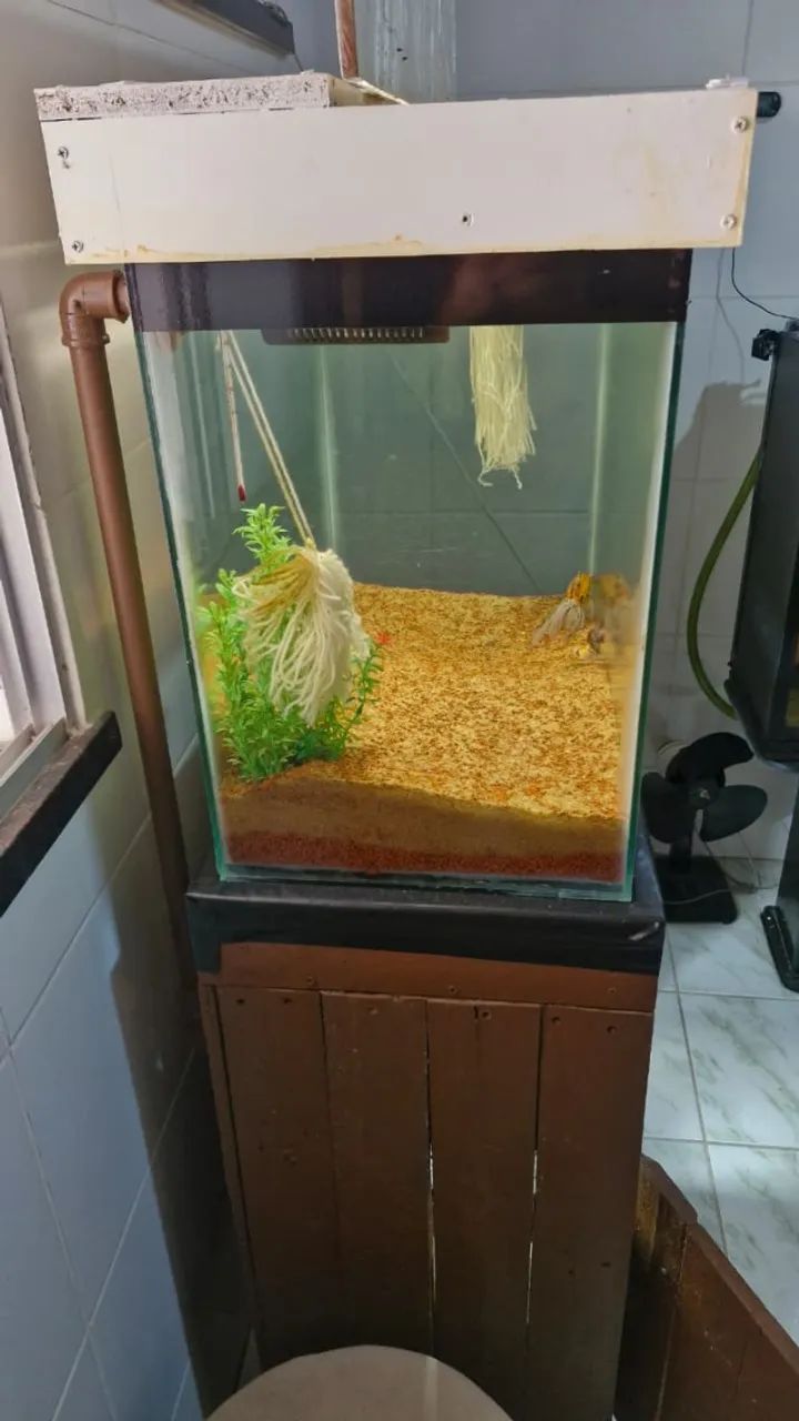 Aquário 140L COMPLETO - Foto 3