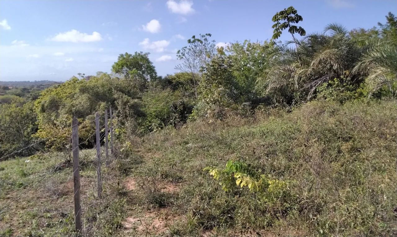 Barra de Pojuca 2.000m2 - Foto 4