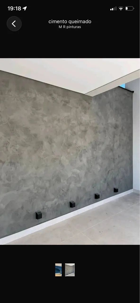 Pintor profissional 