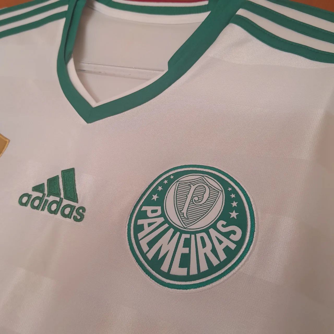 Palmeiras 2013 - G  - Foto 3