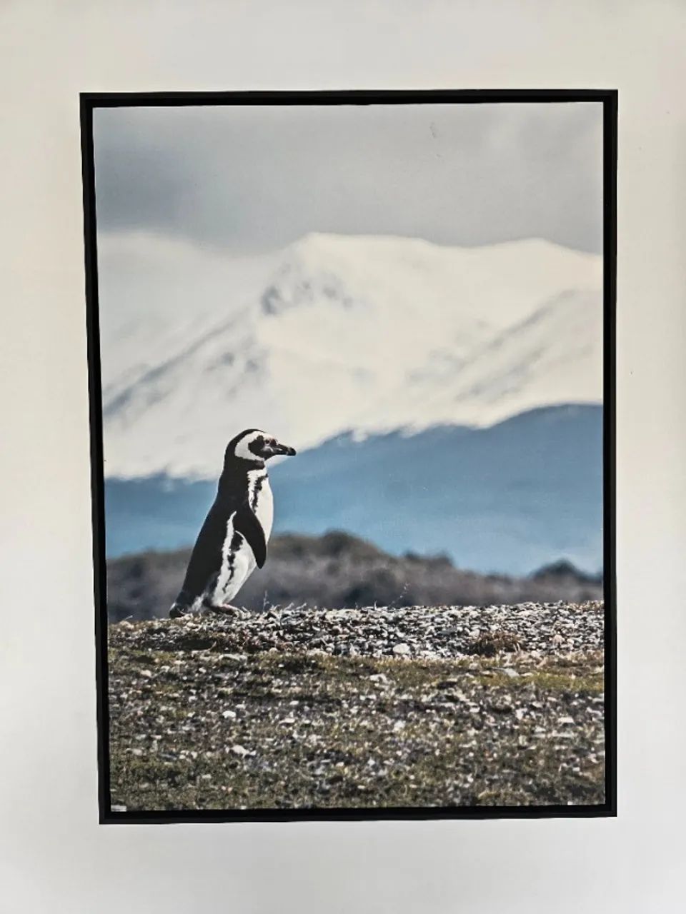 Kit de Dois Quadros em Canva 100% algodão 50x70 - Foto 2