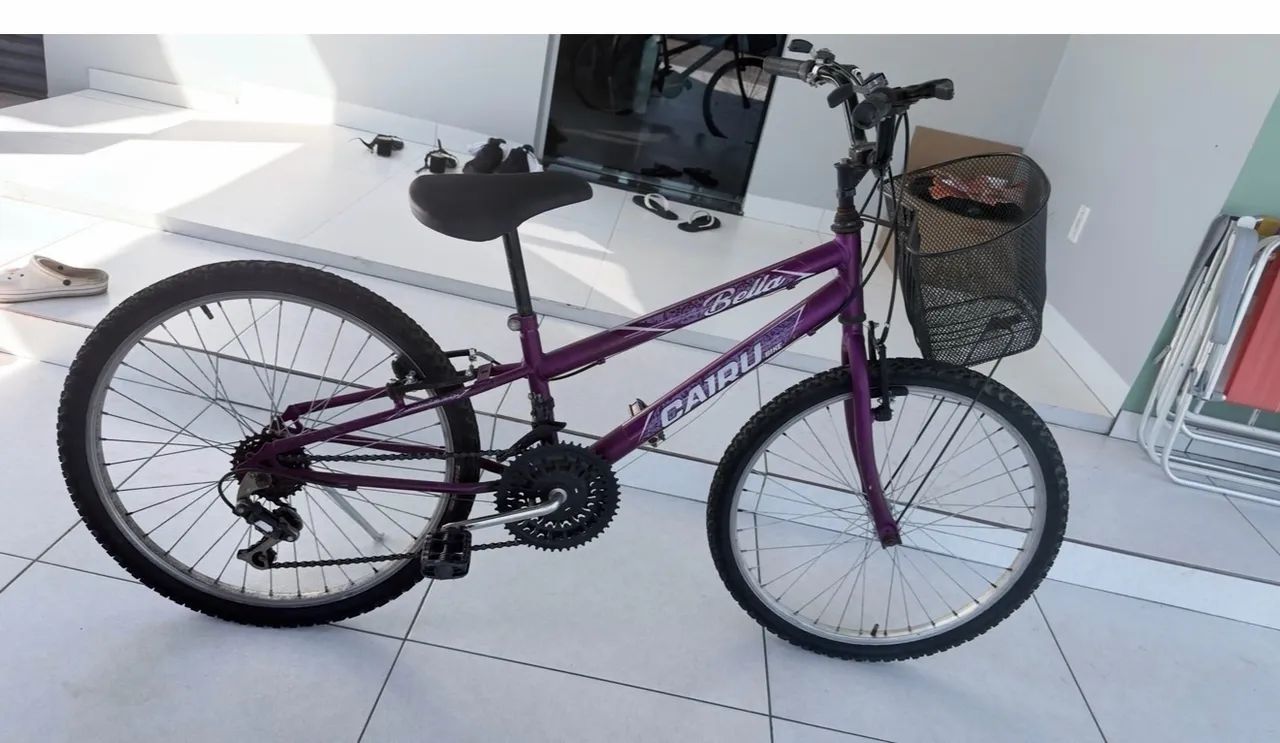 Bicicleta aro 24