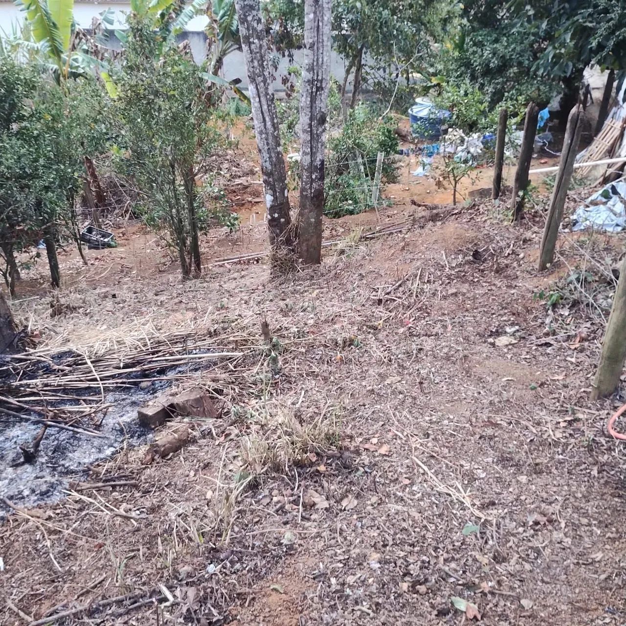 Terreno em Ipiabas - Foto 3