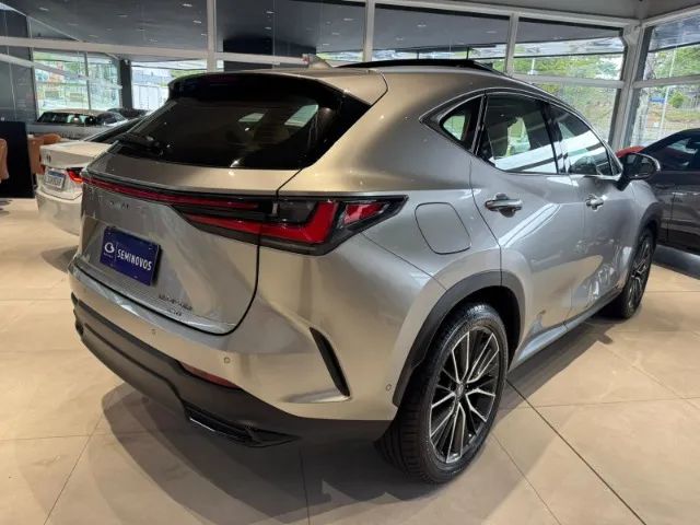 Lexus NX-450h+ AWD 2.5 16V Aut. (Híbrido), foto 6 de 17