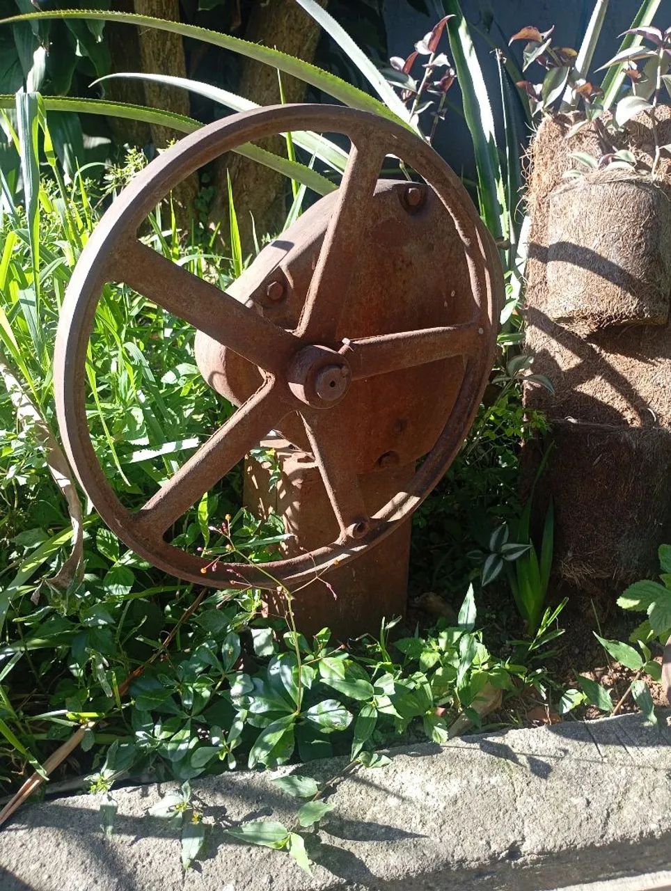 Bomba d'água 